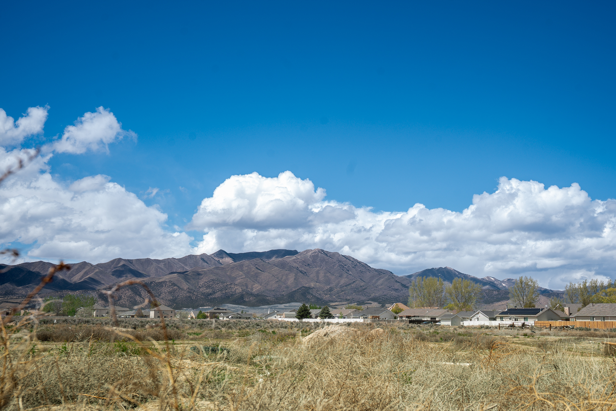 Eagle Mountain Orthodontics office photo